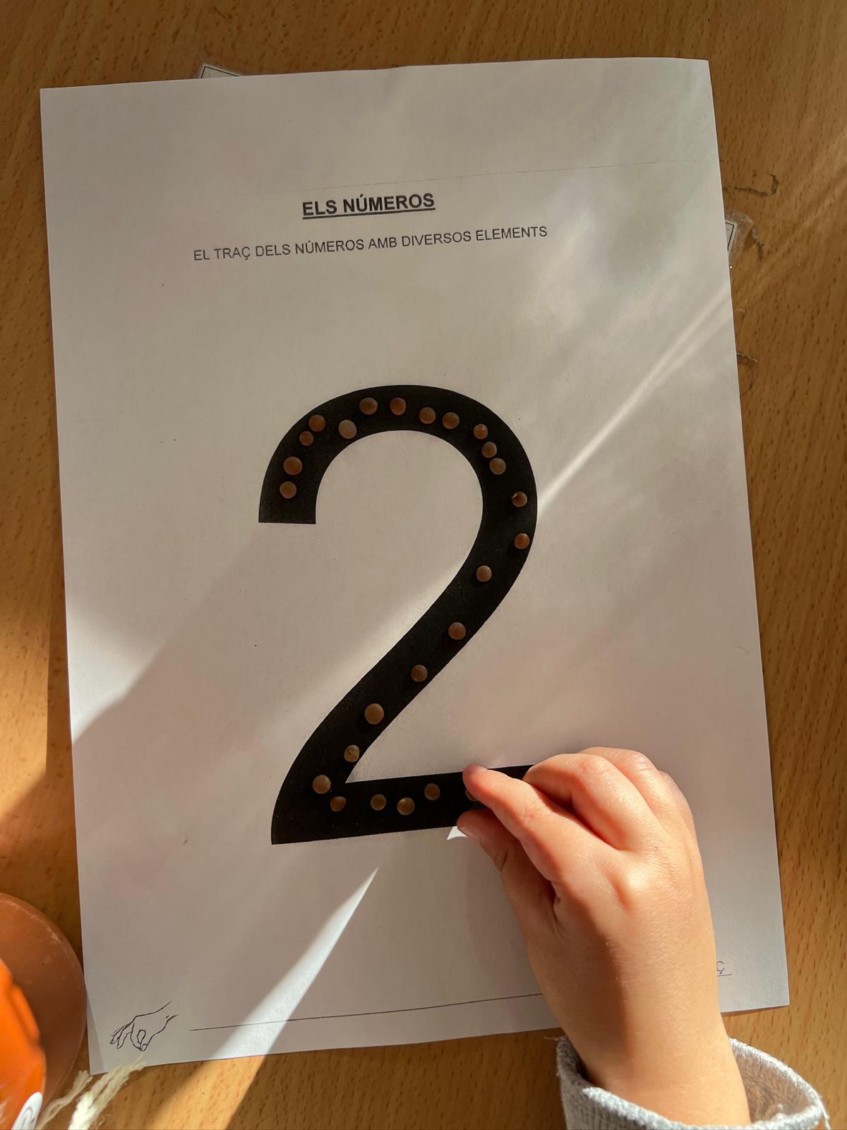 WhatsApp Image 2026-02-12 at 17.55.27