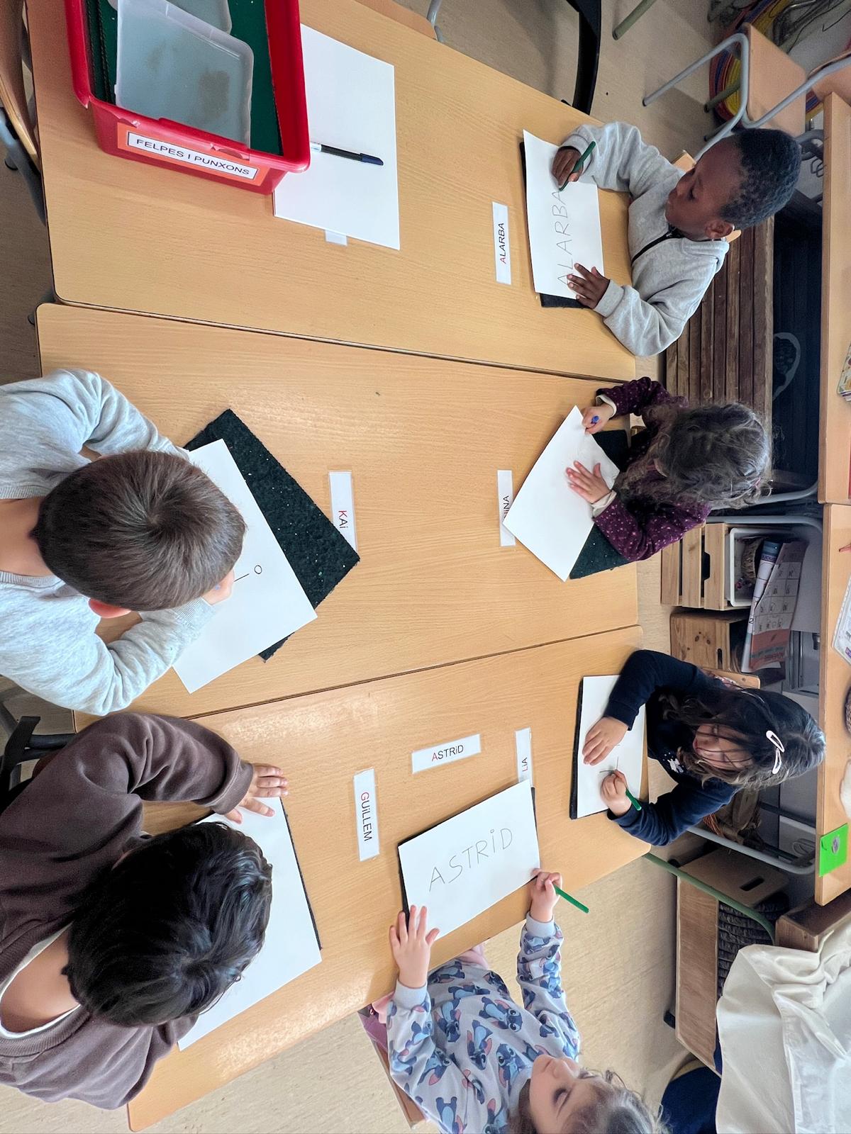 WhatsApp Image 2026-02-12 at 17.55.28 (2)