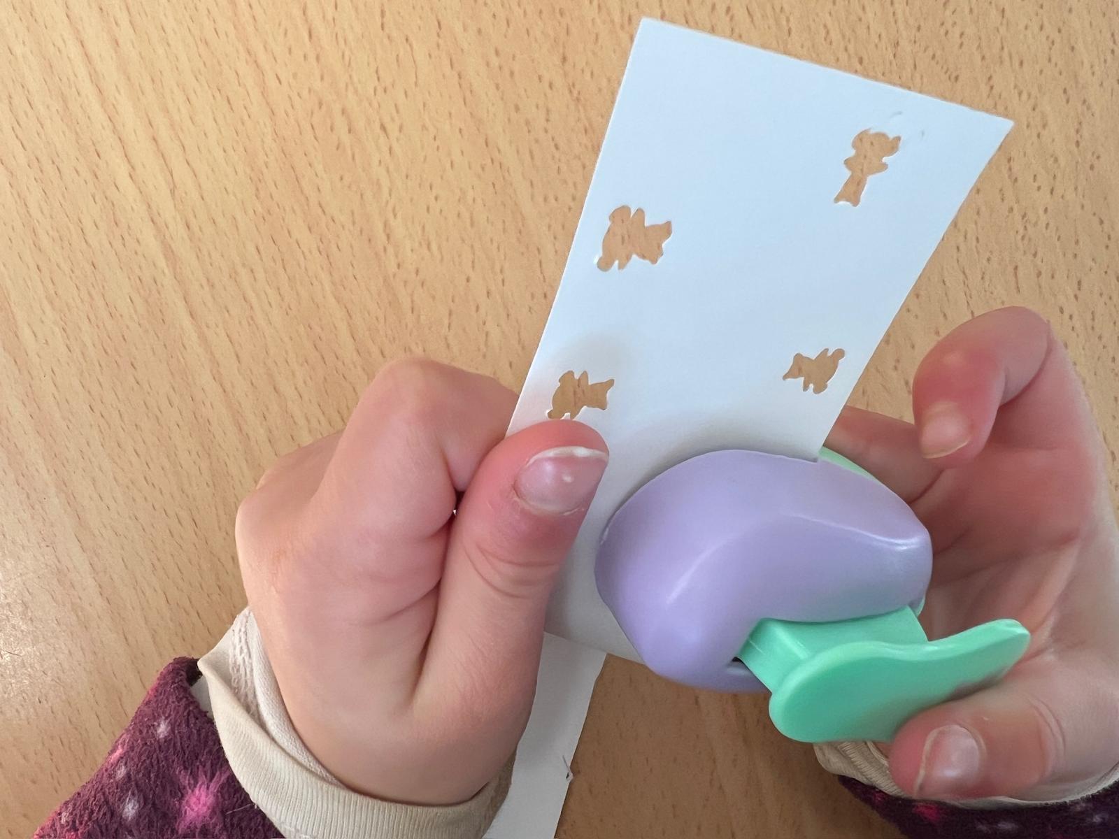 WhatsApp Image 2026-02-12 at 17.55.28 (4)