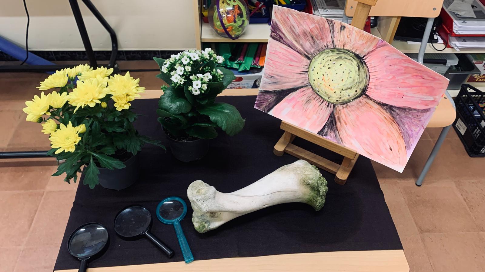 WhatsApp Image 2026-03-17 at 13.05.43 (2)