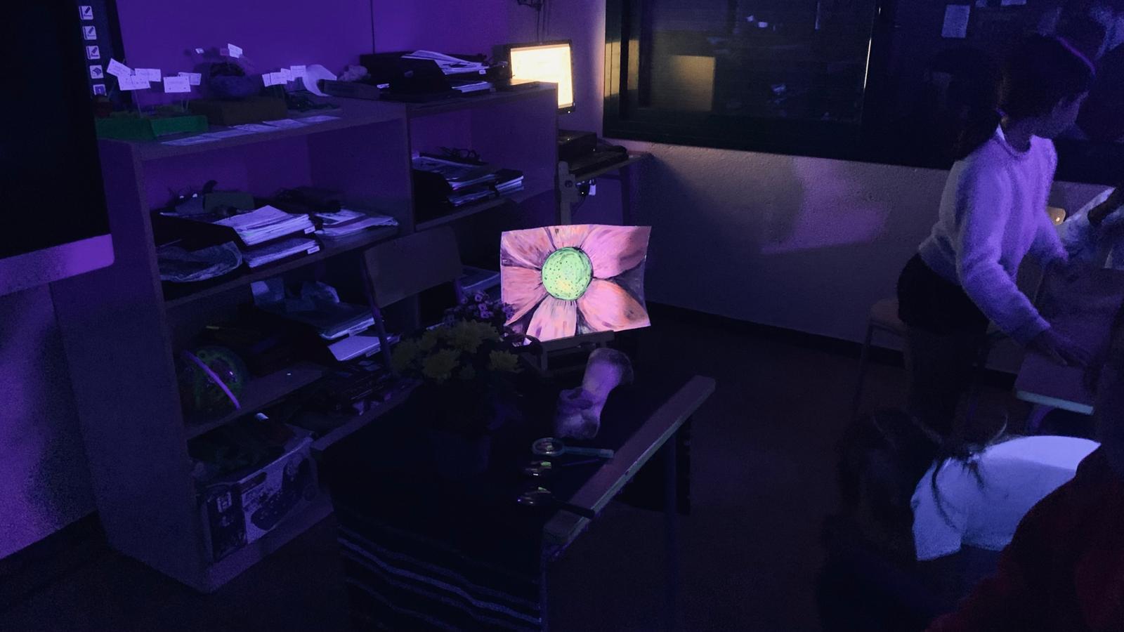 WhatsApp Image 2026-03-17 at 13.05.43 (3)