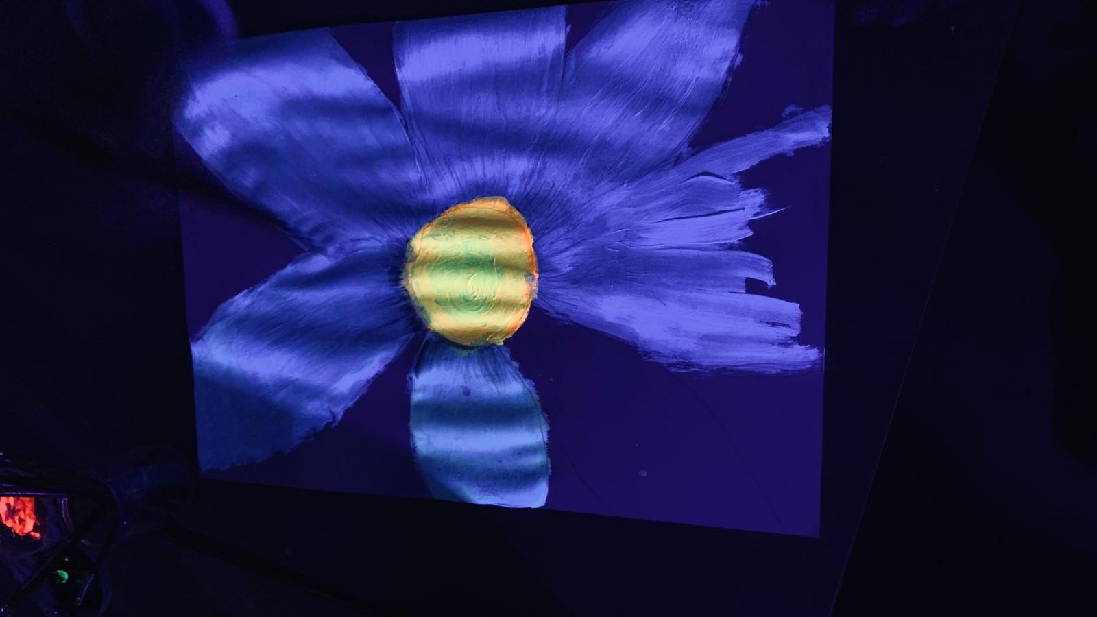 WhatsApp Image 2026-03-17 at 13.05.44