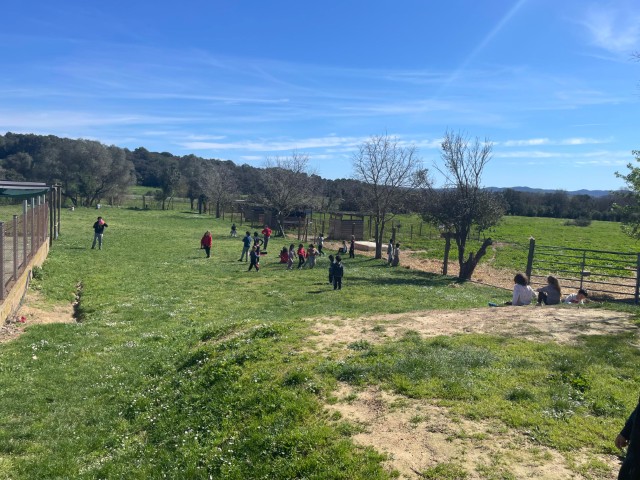 WhatsApp Image 2026-03-17 at 13.07.24 (1) (Pequeña)