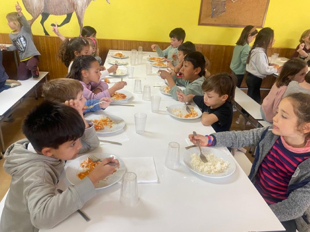 WhatsApp Image 2026-03-17 at 13.16.21 (Pequeña)