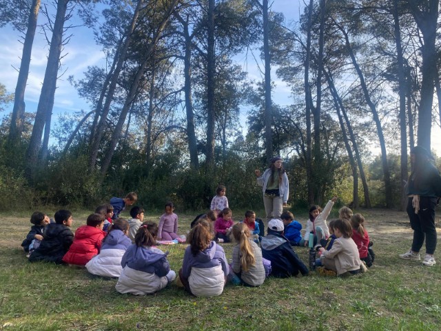 WhatsApp Image 2026-03-17 at 13.17.42 (Pequeña)