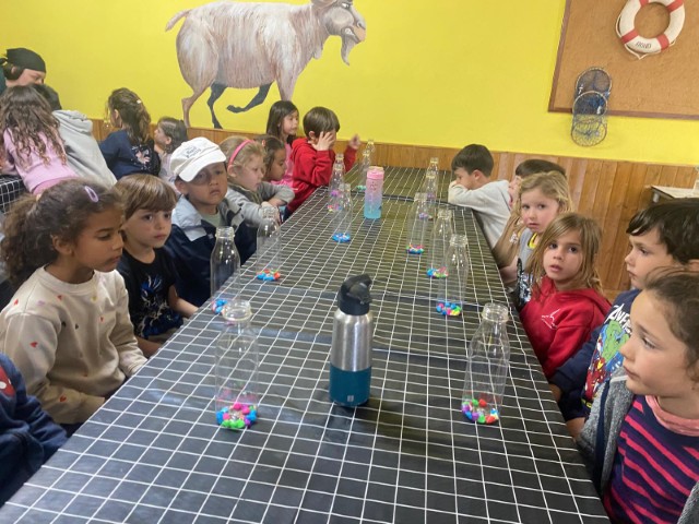 WhatsApp Image 2026-03-17 at 13.19.13 (Pequeña)