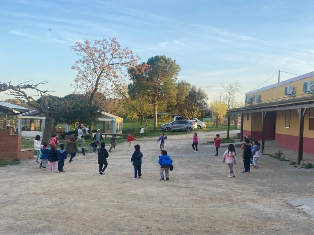 WhatsApp Image 2026-03-17 at 13.20.20 (Pequeña)