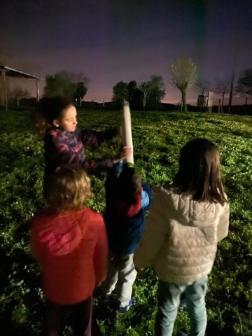 WhatsApp Image 2026-03-17 at 13.20.49 (Pequeña)