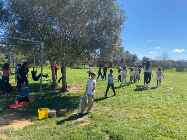 WhatsApp Image 2026-03-17 at 13.22.01 (Pequeña)