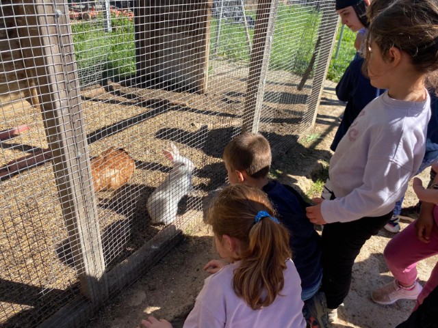 WhatsApp Image 2026-03-17 at 13.22.31 (Pequeña)