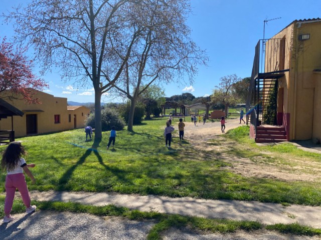 WhatsApp Image 2026-03-17 at 13.22.39 (Pequeña)