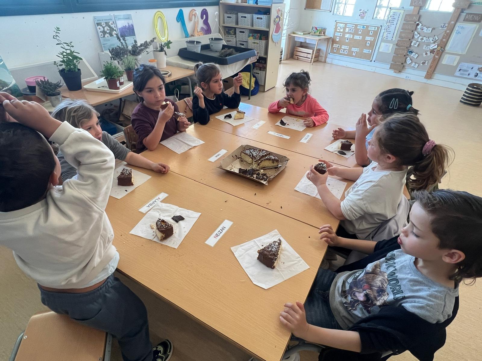 WhatsApp Image 2026-03-27 at 18.17.02 (14)