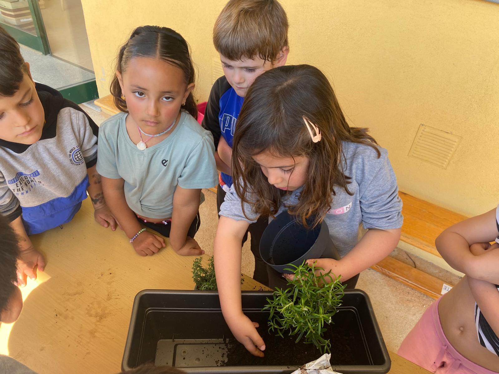 WhatsApp Image 2026-03-27 at 18.19.54 (1)