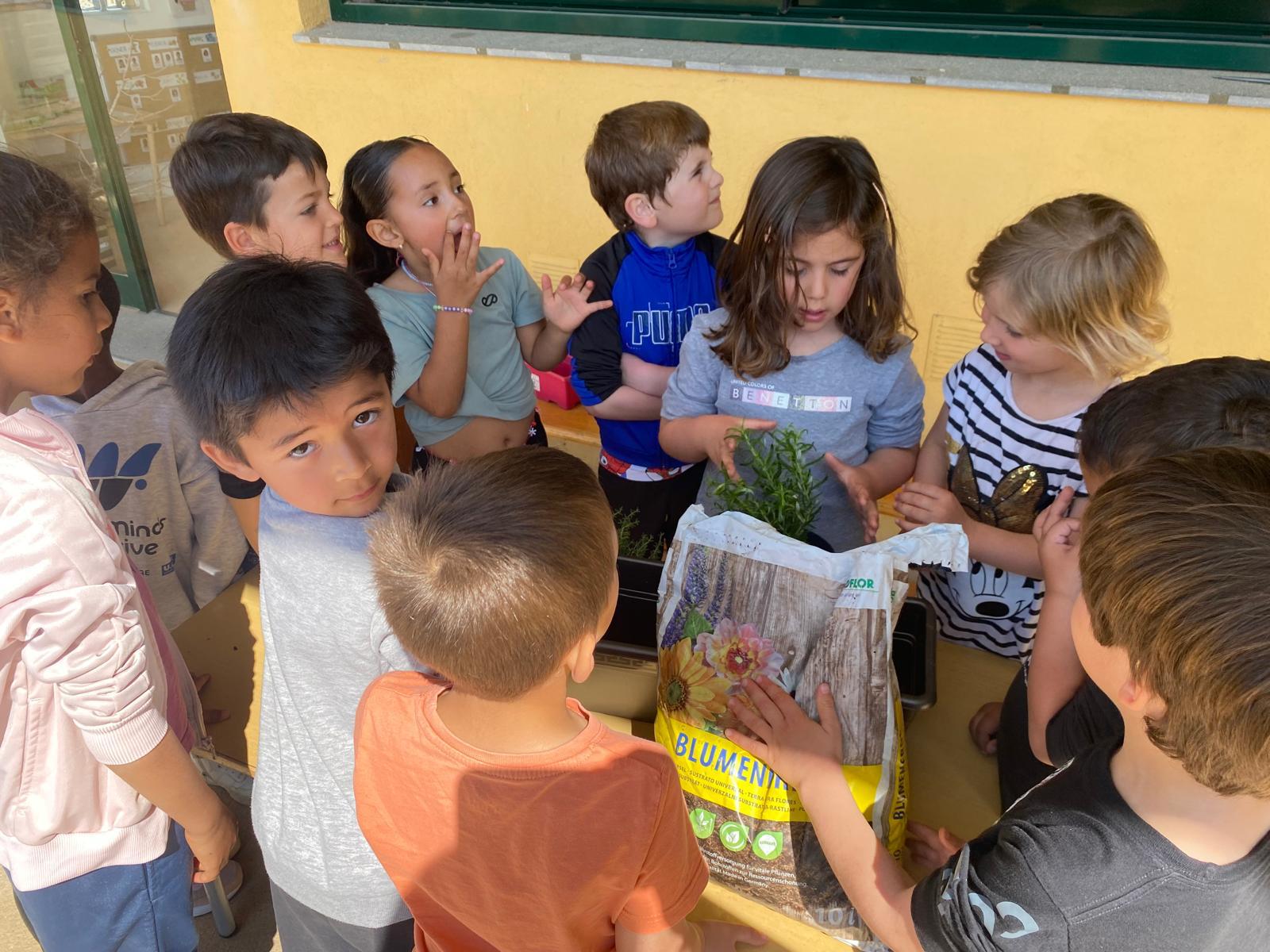 WhatsApp Image 2026-03-27 at 18.19.54