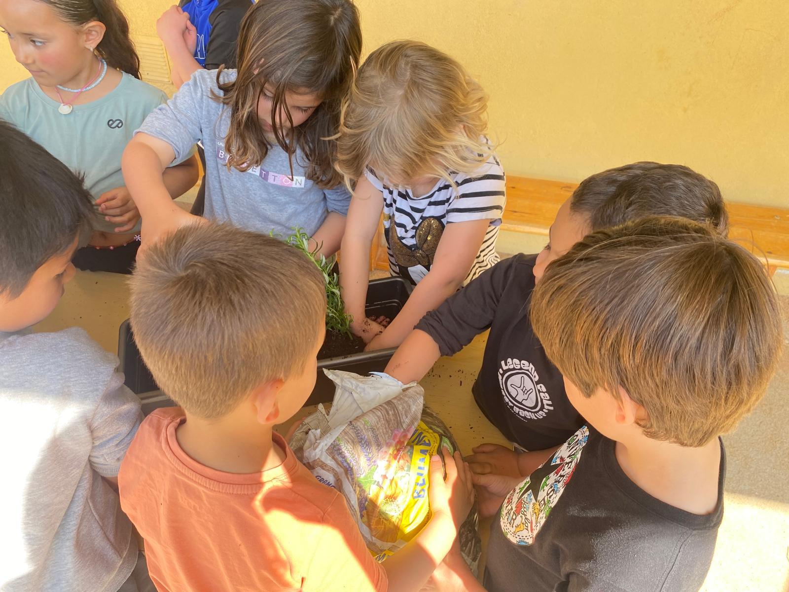 WhatsApp Image 2026-03-27 at 18.19.54 (2)