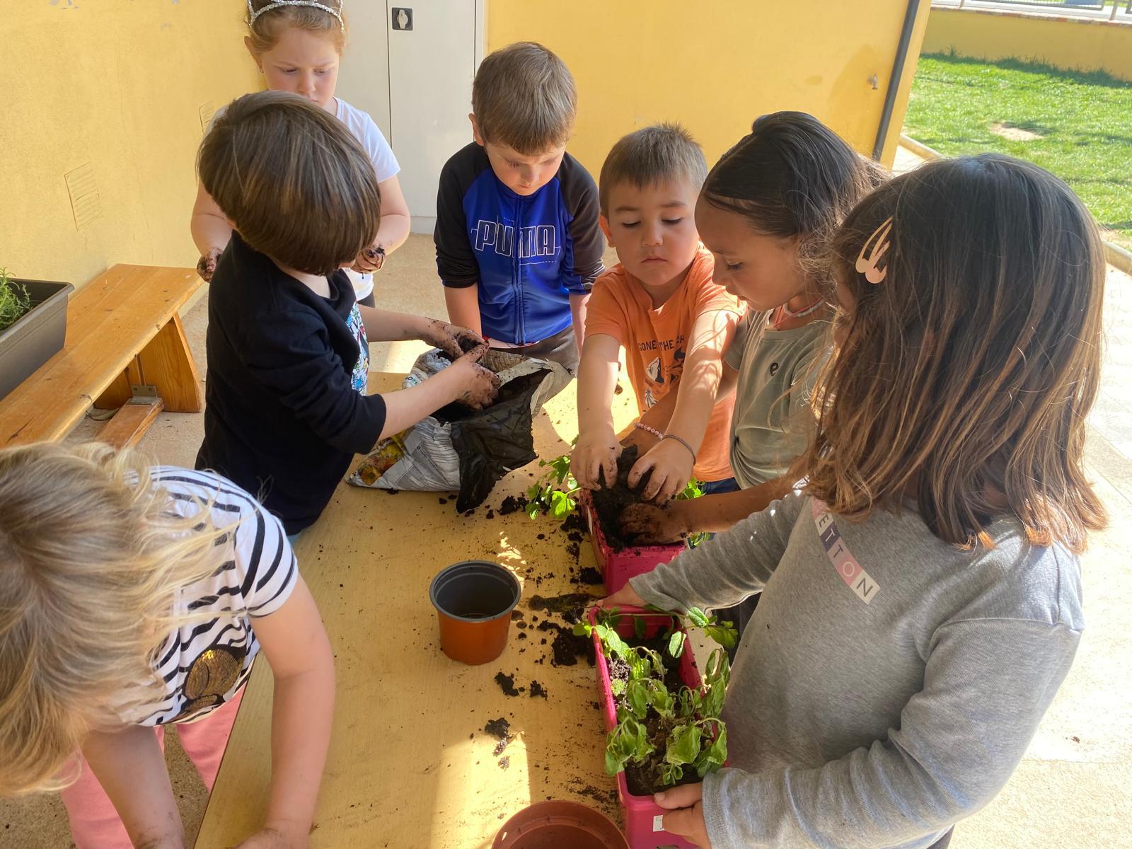 WhatsApp Image 2026-03-27 at 18.19.54 (3)