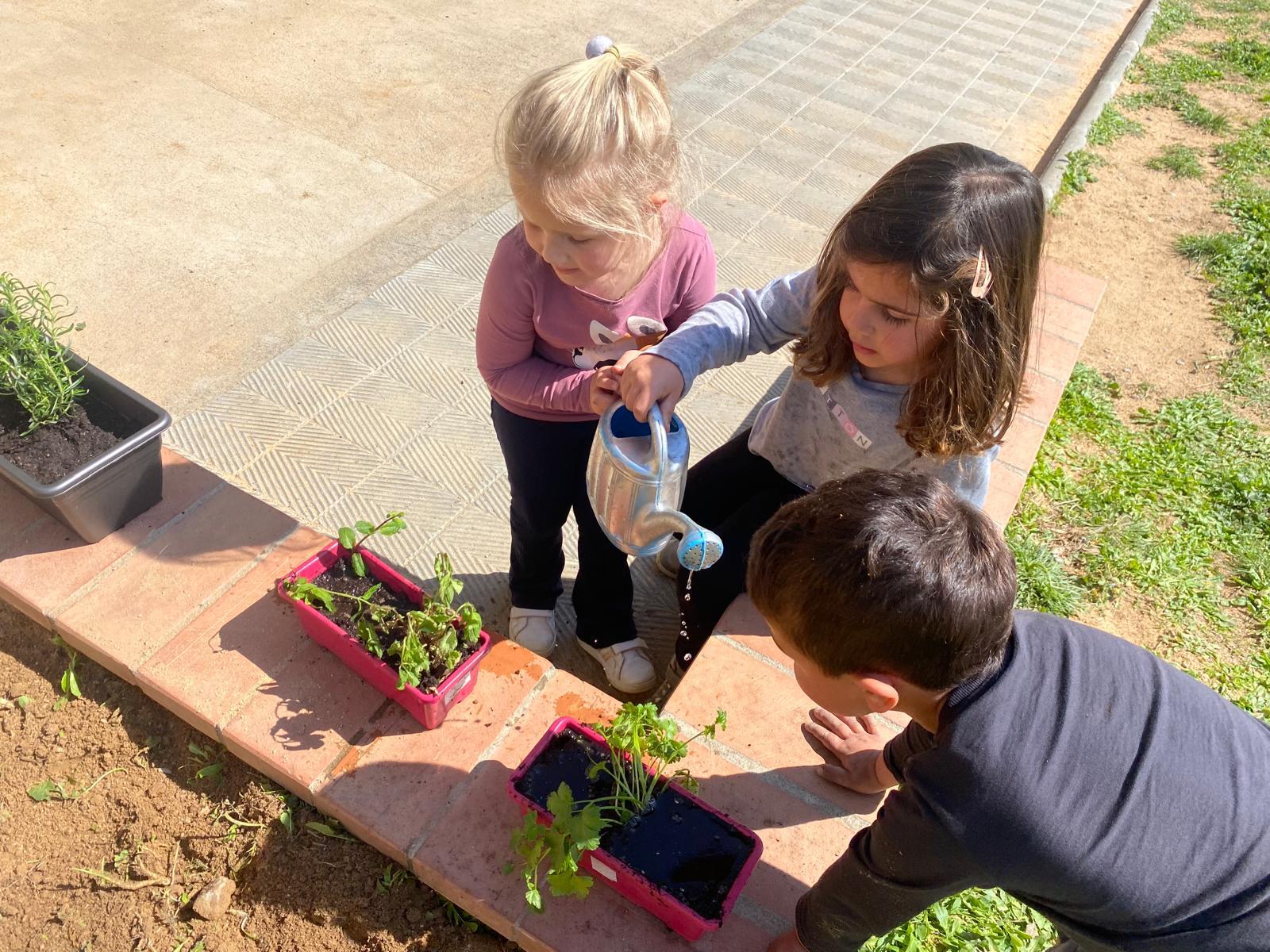 WhatsApp Image 2026-03-27 at 18.19.54 (4)