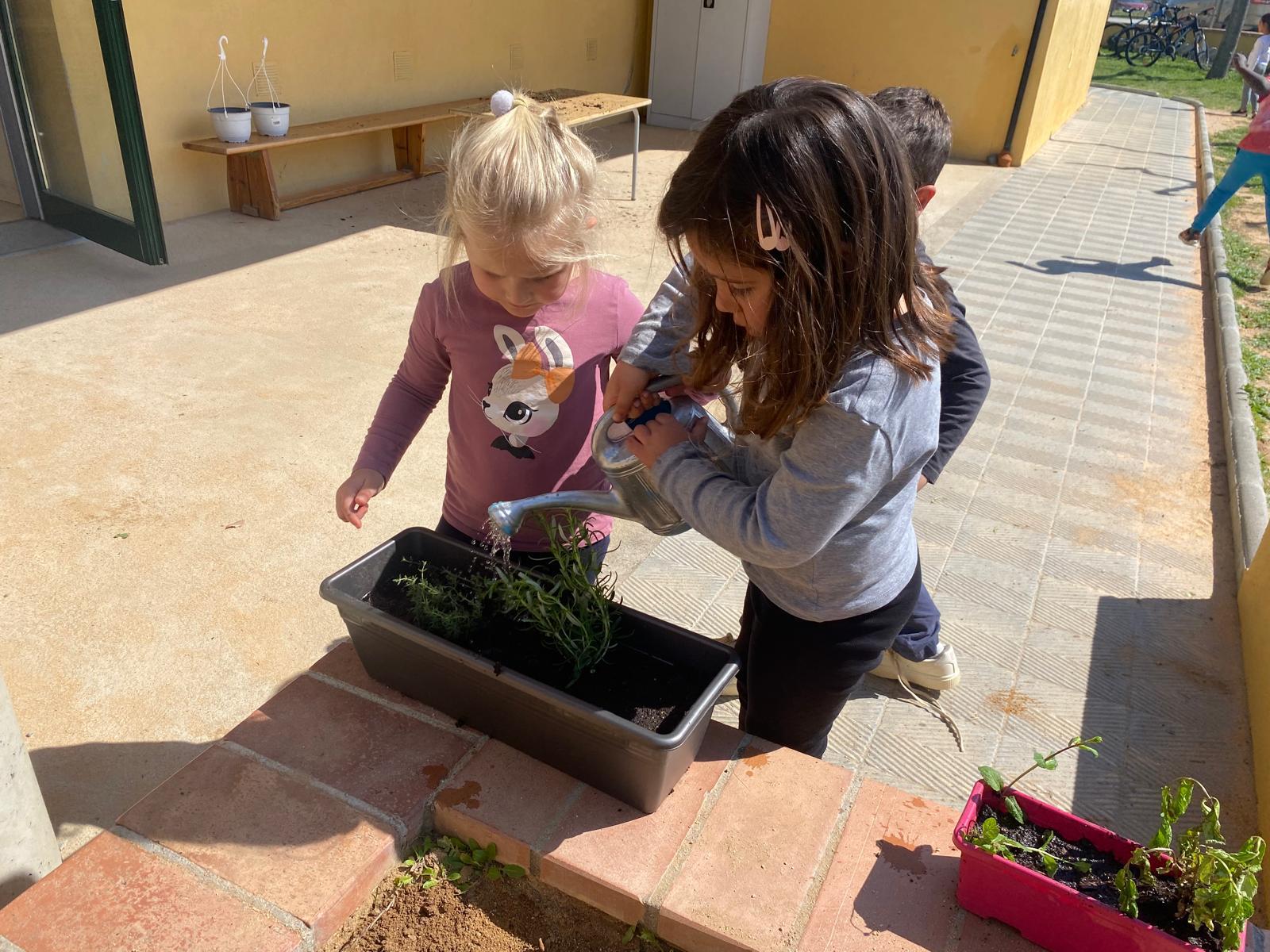 WhatsApp Image 2026-03-27 at 18.19.54 (5)