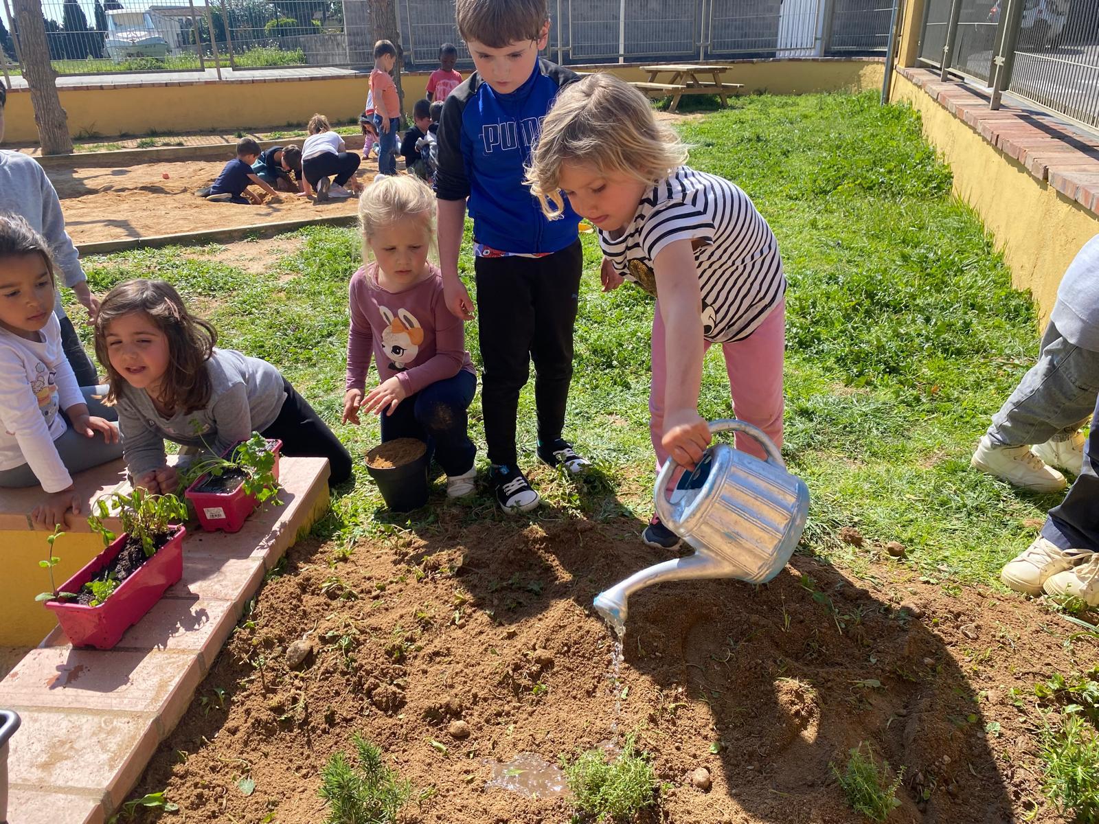 WhatsApp Image 2026-03-27 at 18.19.54 (6)