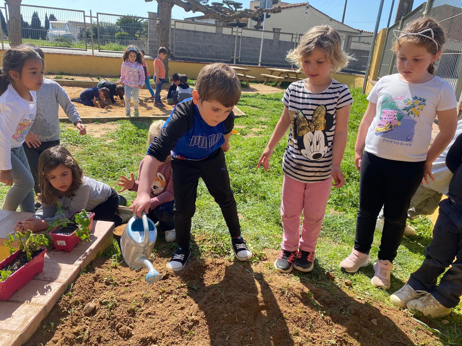 WhatsApp Image 2026-03-27 at 18.19.54 (7)