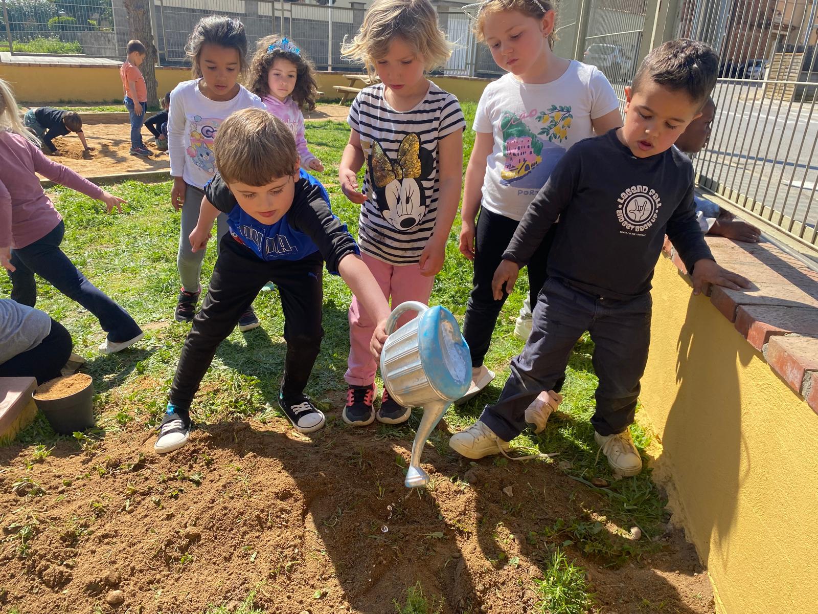 WhatsApp Image 2026-03-27 at 18.19.54 (8)