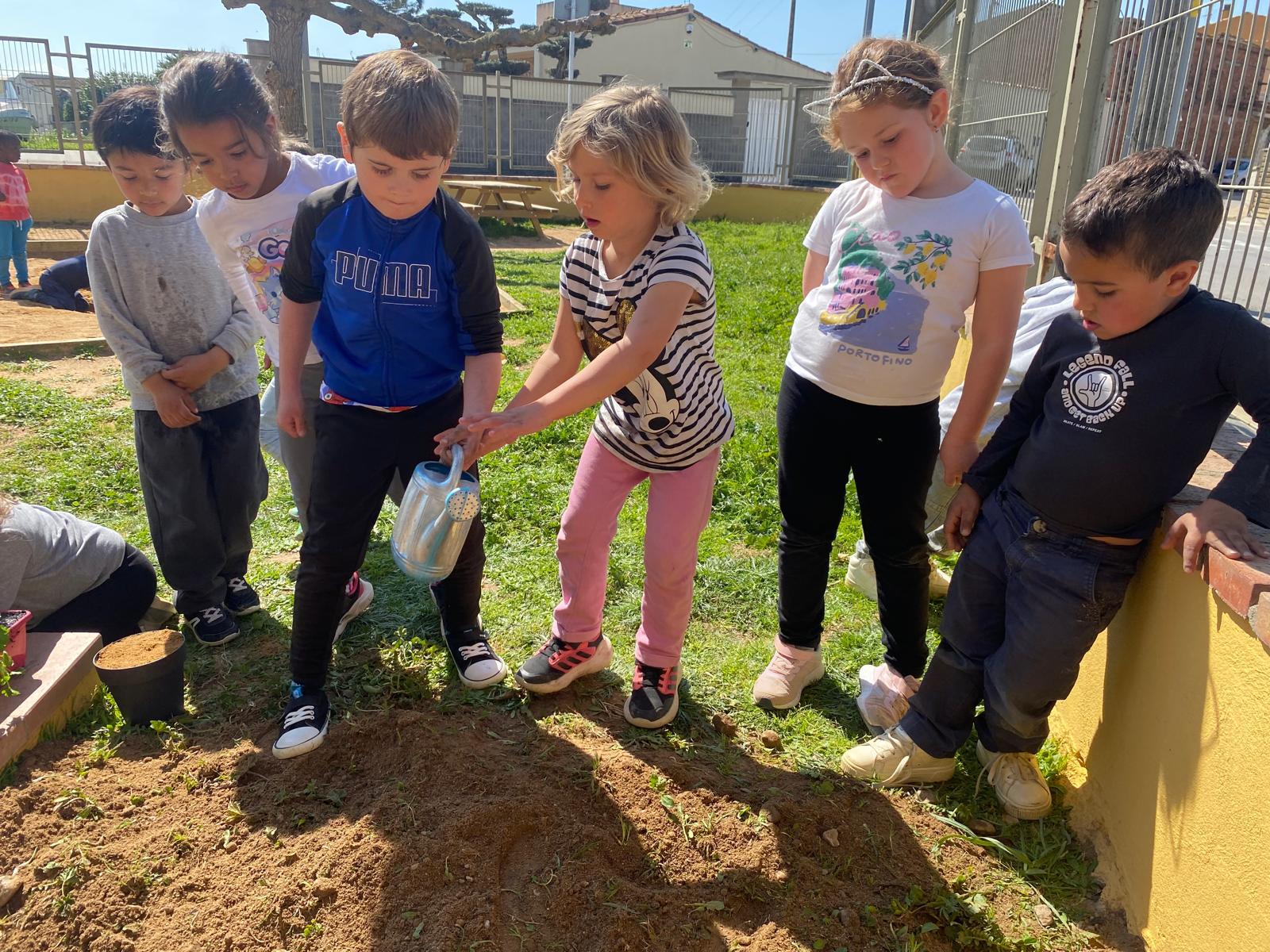 WhatsApp Image 2026-03-27 at 18.19.54 (9)