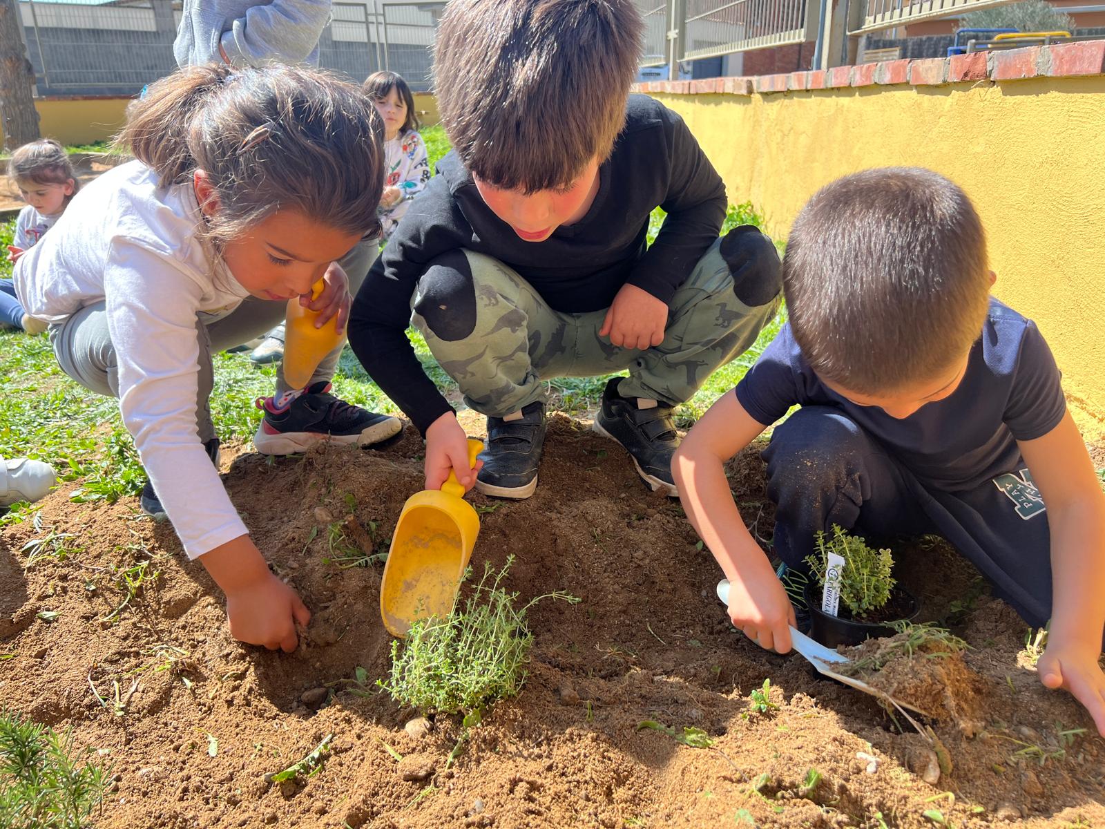 WhatsApp Image 2026-03-27 at 18.19.55 (1)