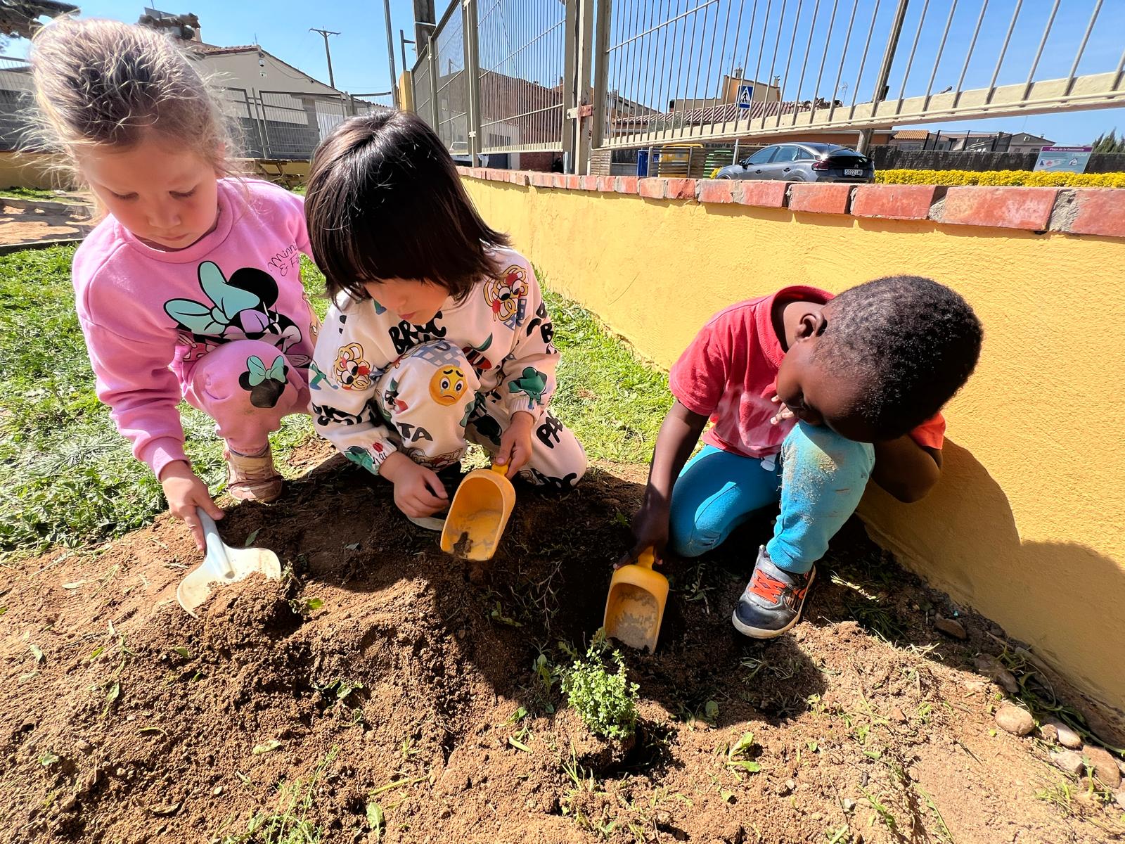 WhatsApp Image 2026-03-27 at 18.19.55 (2)