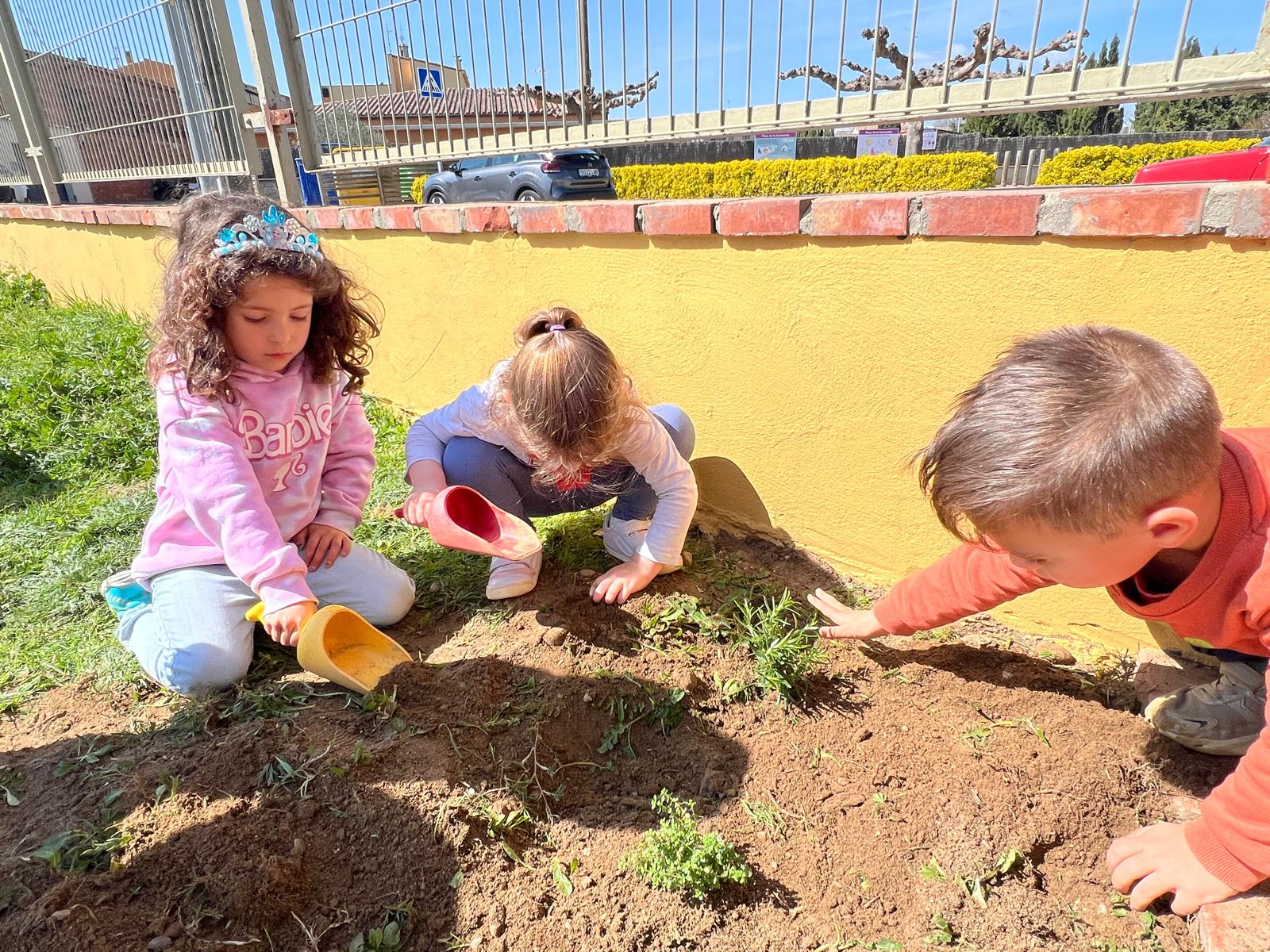 WhatsApp Image 2026-03-27 at 18.19.55 (3)