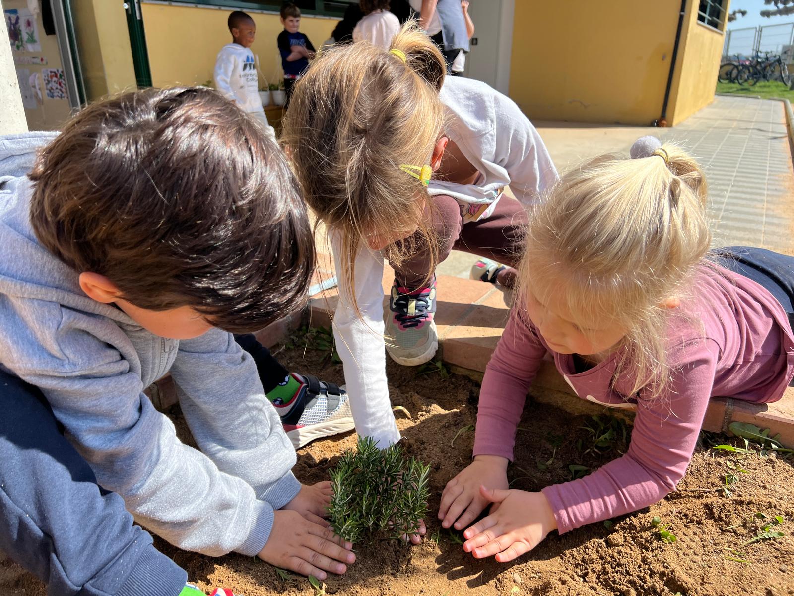 WhatsApp Image 2026-03-27 at 18.19.55