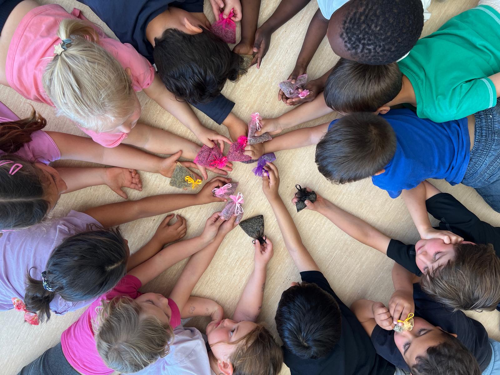 WhatsApp Image 2026-04-27 at 17.25.48 (8)