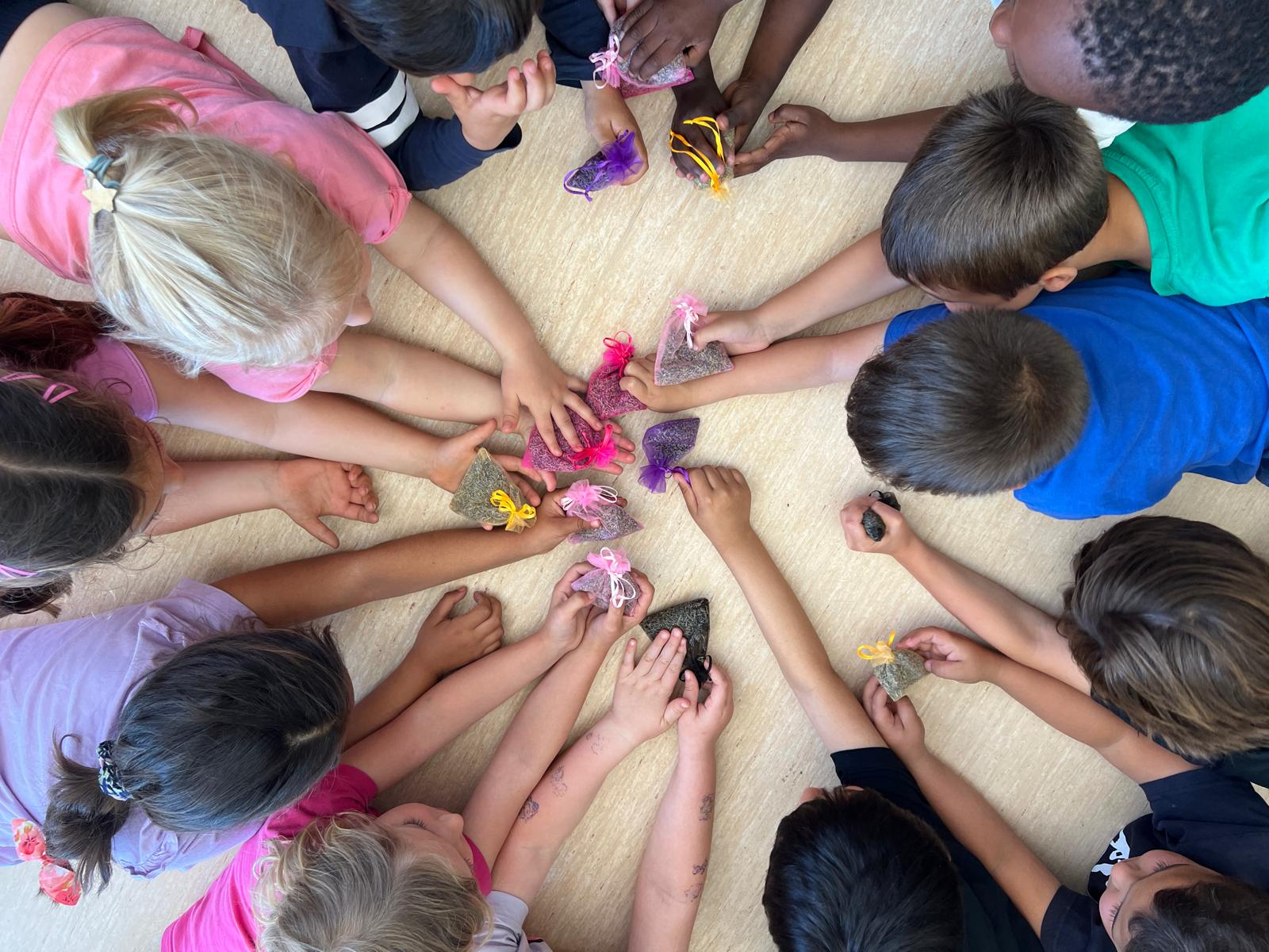 WhatsApp Image 2026-04-27 at 17.25.48 (9)