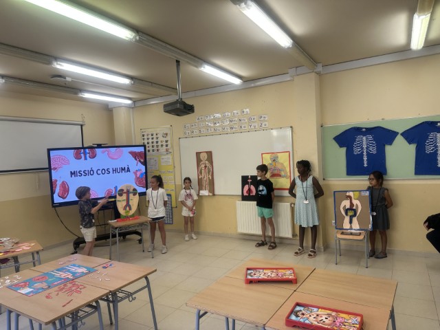 13 (Pequeña)