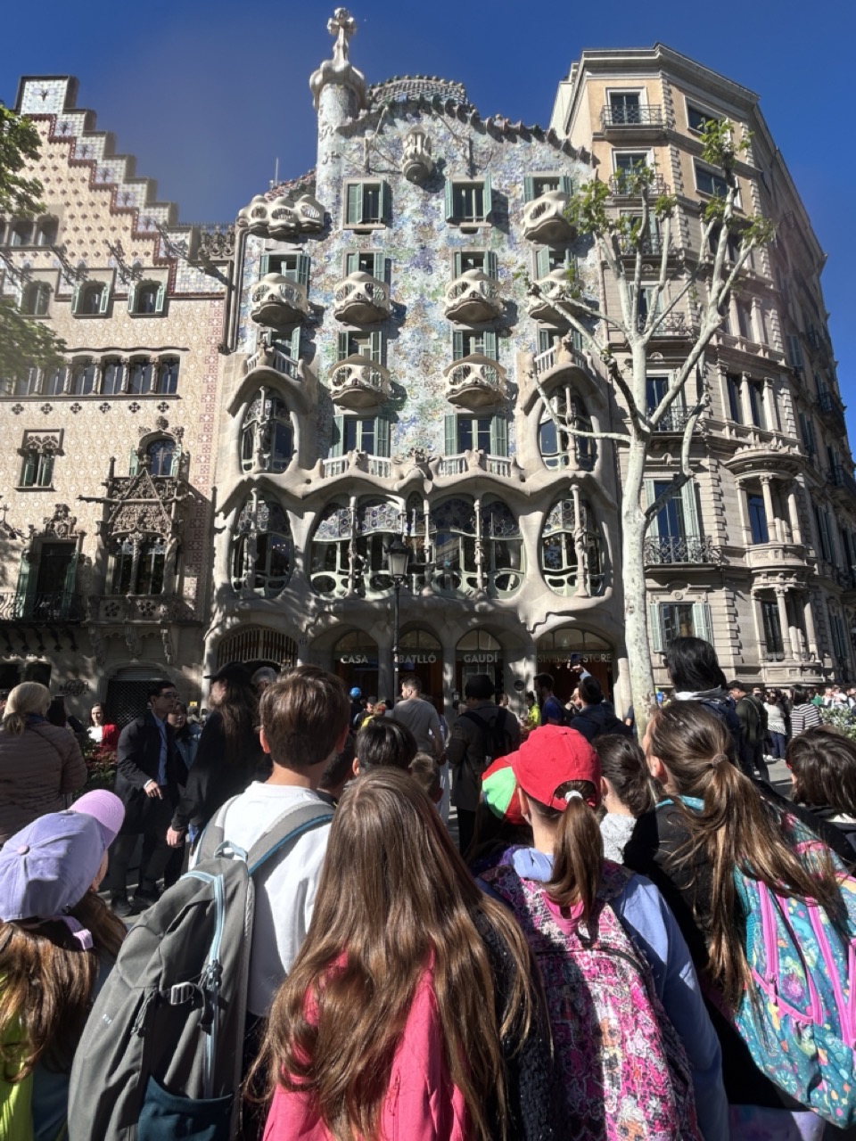 IMG_8092 en tamaño grande