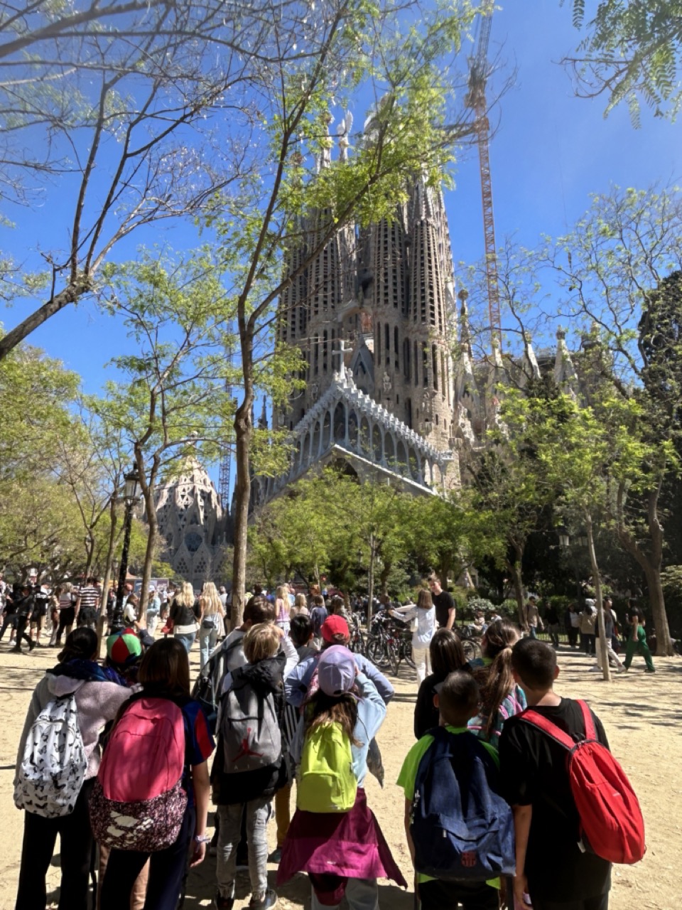 IMG_8099 en tamaño grande