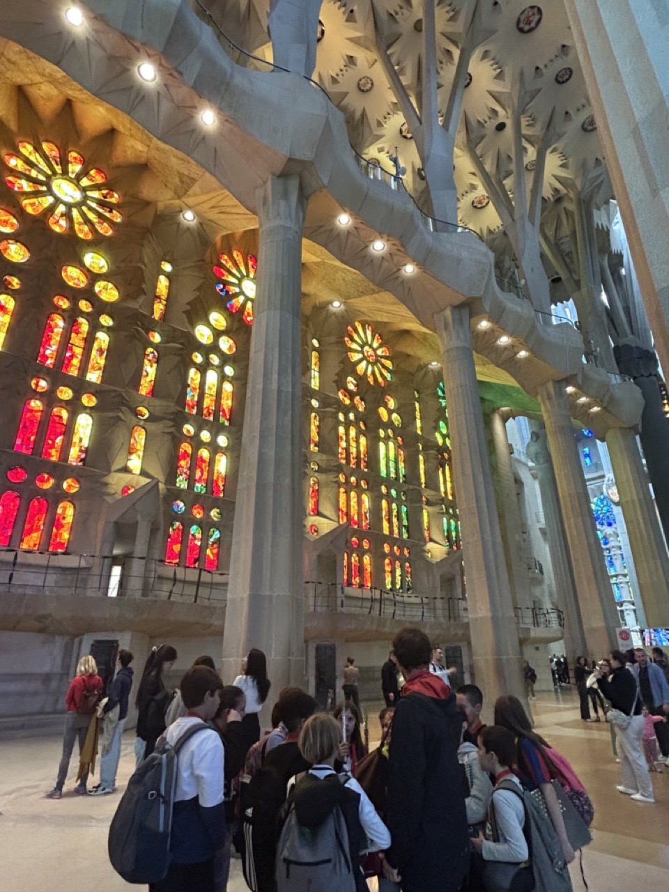 IMG_8112 en tamaño grande