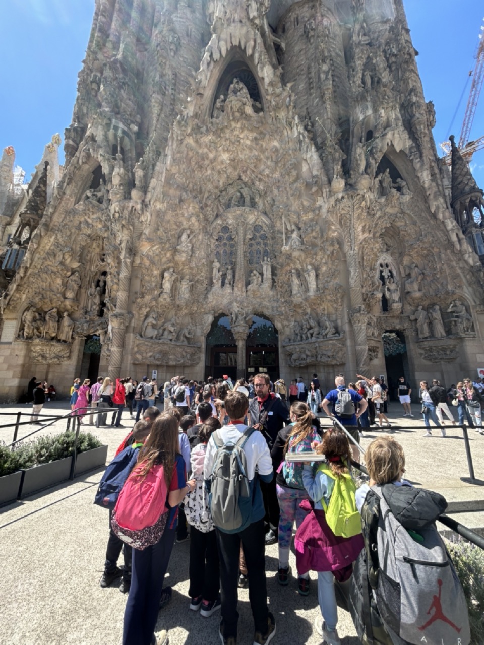 IMG_8115 en tamaño grande