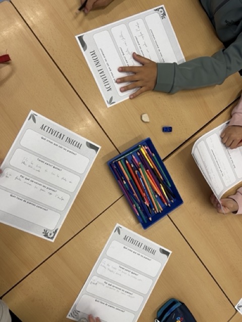 IMG_0587 en tamaño mediano