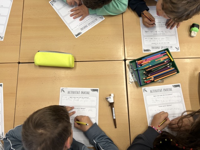 IMG_0588 en tamaño mediano