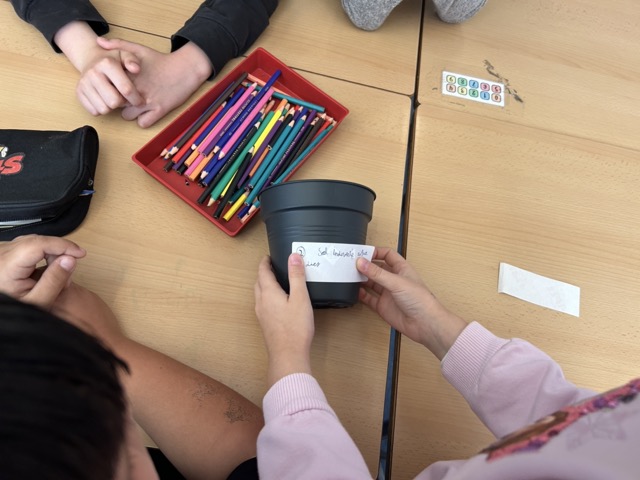 IMG_0592 en tamaño mediano