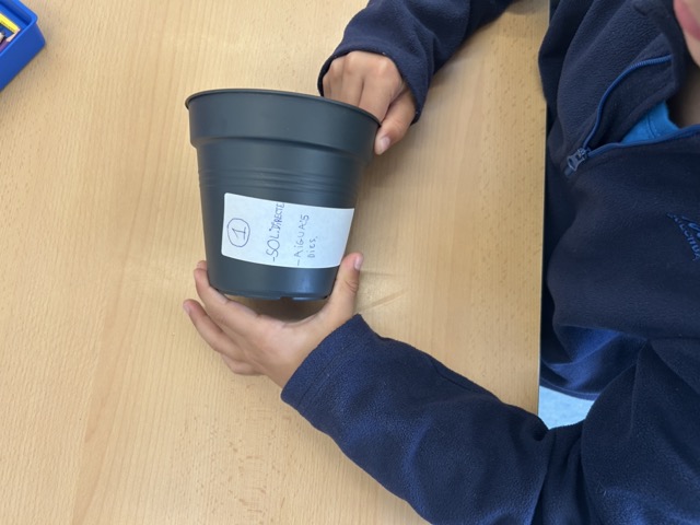 IMG_0593 en tamaño mediano