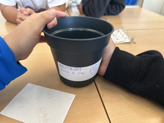 IMG_0594 en tamaño mediano