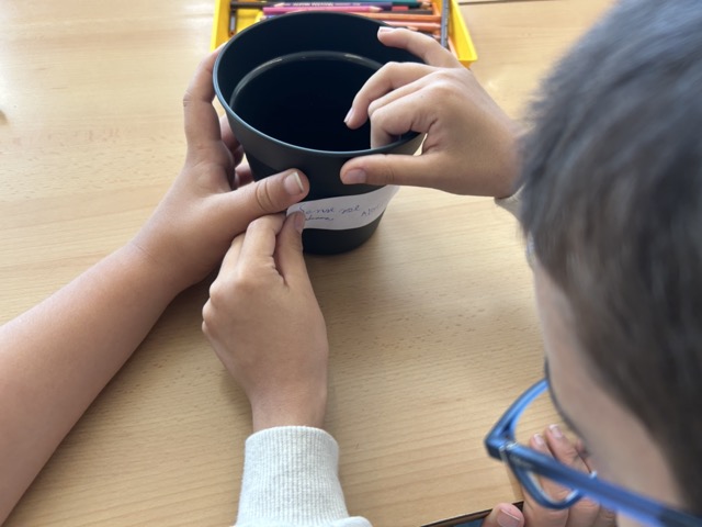 IMG_0595 en tamaño mediano