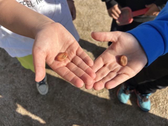 IMG_0596 en tamaño mediano