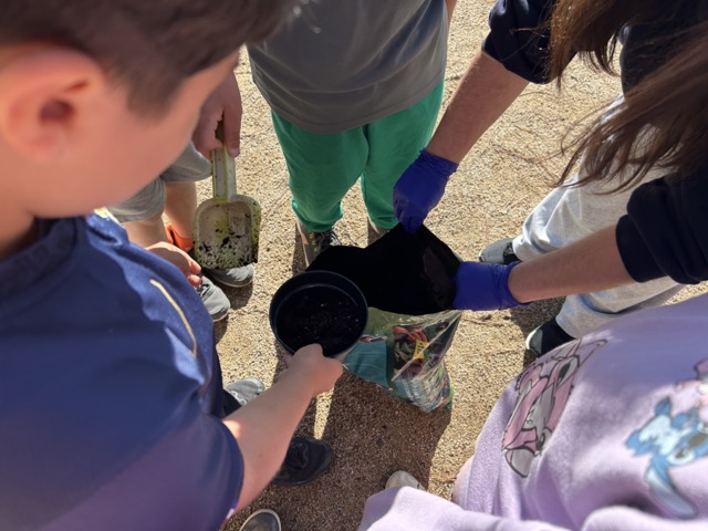 IMG_0597 en tamaño mediano