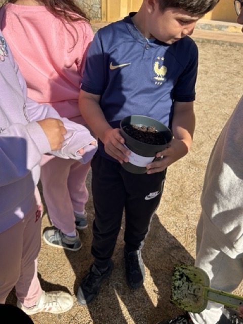 IMG_0598 en tamaño mediano