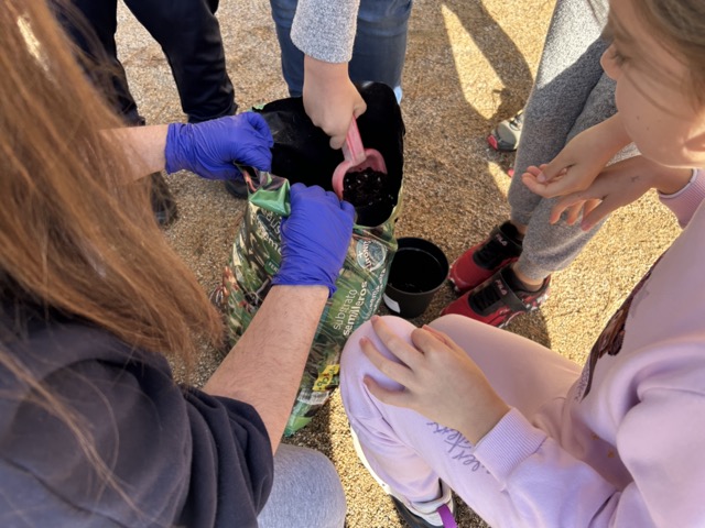 IMG_0599 en tamaño mediano