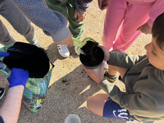 IMG_0600 en tamaño mediano