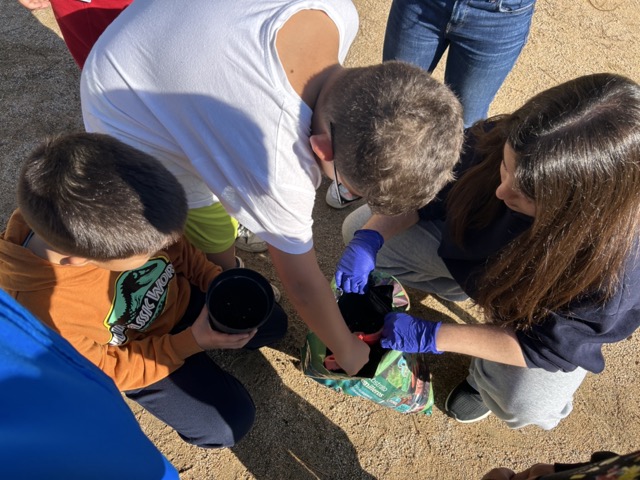 IMG_0601 en tamaño mediano