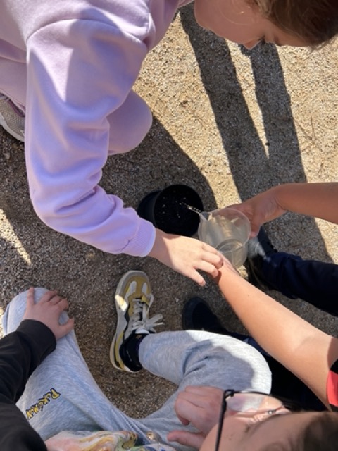 IMG_0602 en tamaño mediano